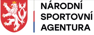 logo nsa